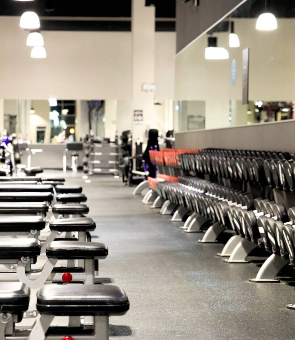 Benches & Free Weights at Fitness World